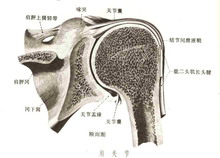 保健按摩師培訓