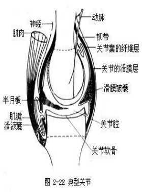 保健按摩師培訓