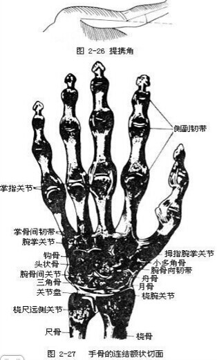 保健按摩師教材