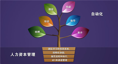人力資源管理師