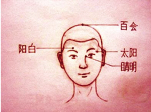 陽白穴