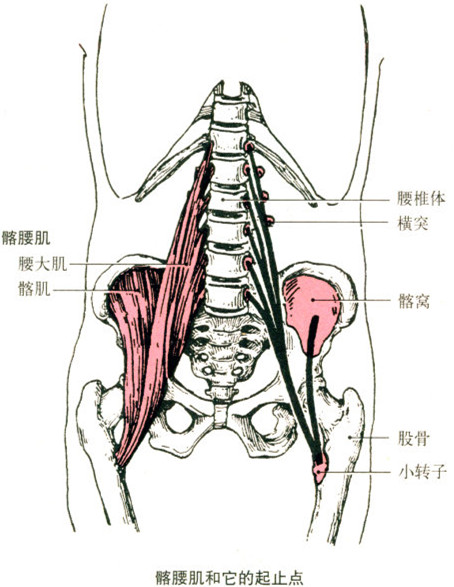 保健按摩師
