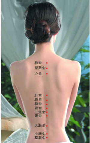 保健按摩師
