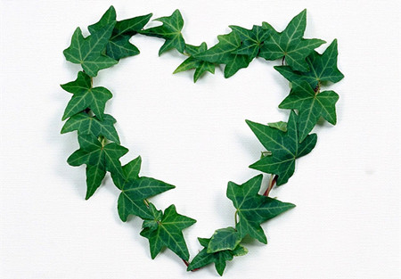 心理咨詢師 心理咨詢師