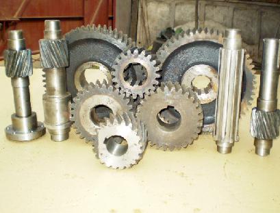 公共營養師 公共營養師