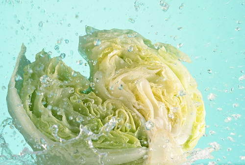 公共營養(yǎng)師