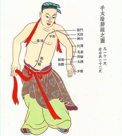 手太陰肺經