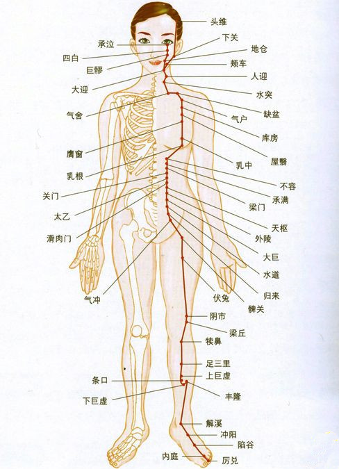 保健按摩師