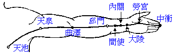 手厥陰心包經(jīng)