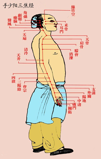 手少陽三焦經 手少陽三焦經