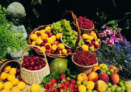 營(yíng)養(yǎng)