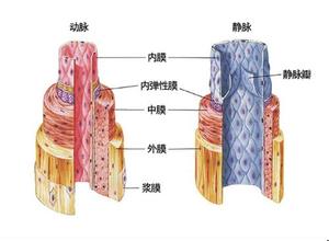 保健按摩師 保健按摩師